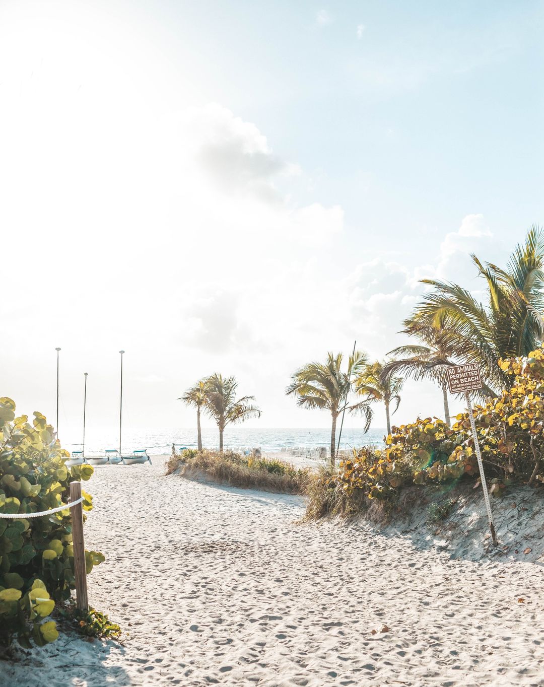 radrizzico_277808143_314775097415378_5377890882022102832_n