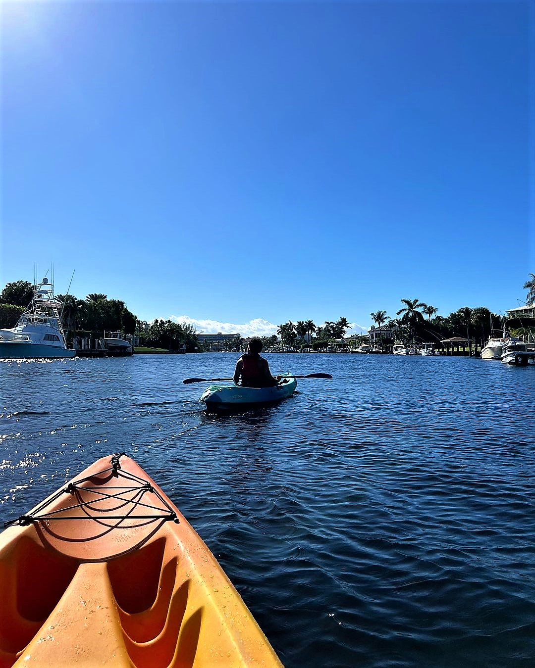 sharkwatersports.o_317392858_210843504773454_9106864723742223628_n