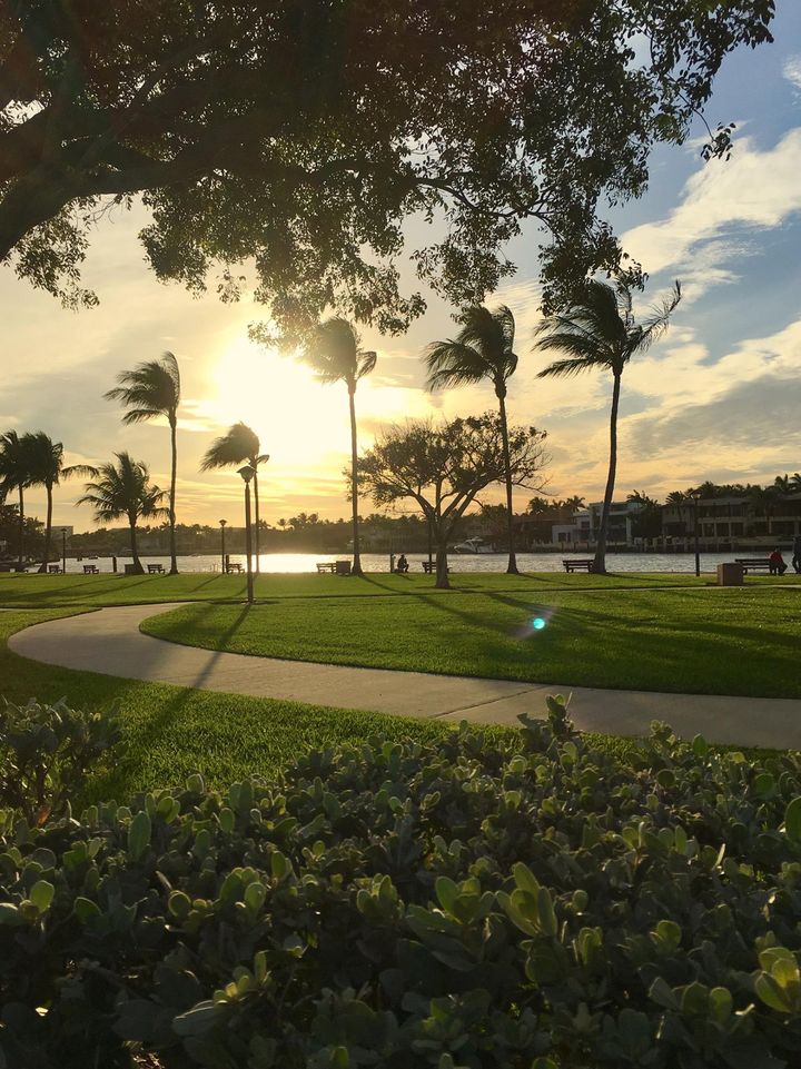 15724801_1551701124856616_5558116474698674786_o