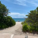 199338881_10158020909032617_7175625811219409007_n