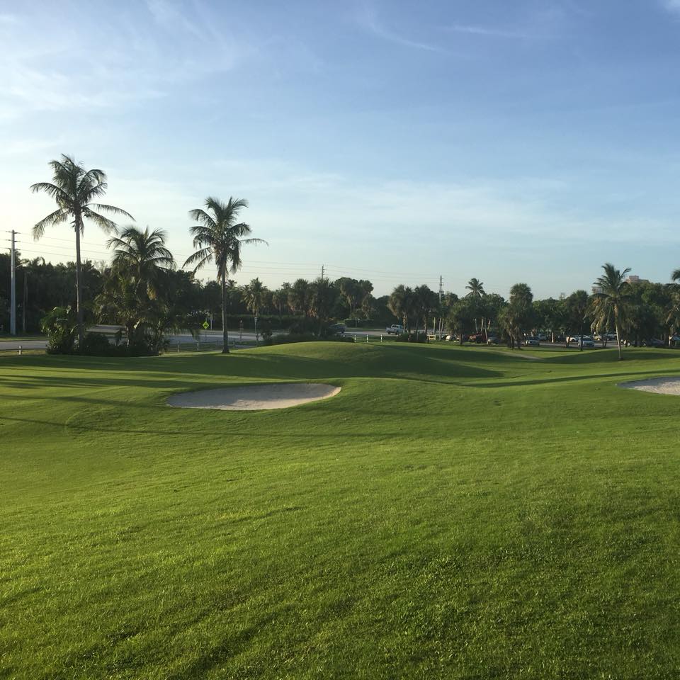 41890350_10212347354827351_1839525533575020544_n