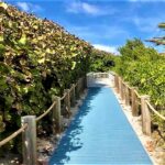 87204022_10157992241867118_6399569853077782528_n