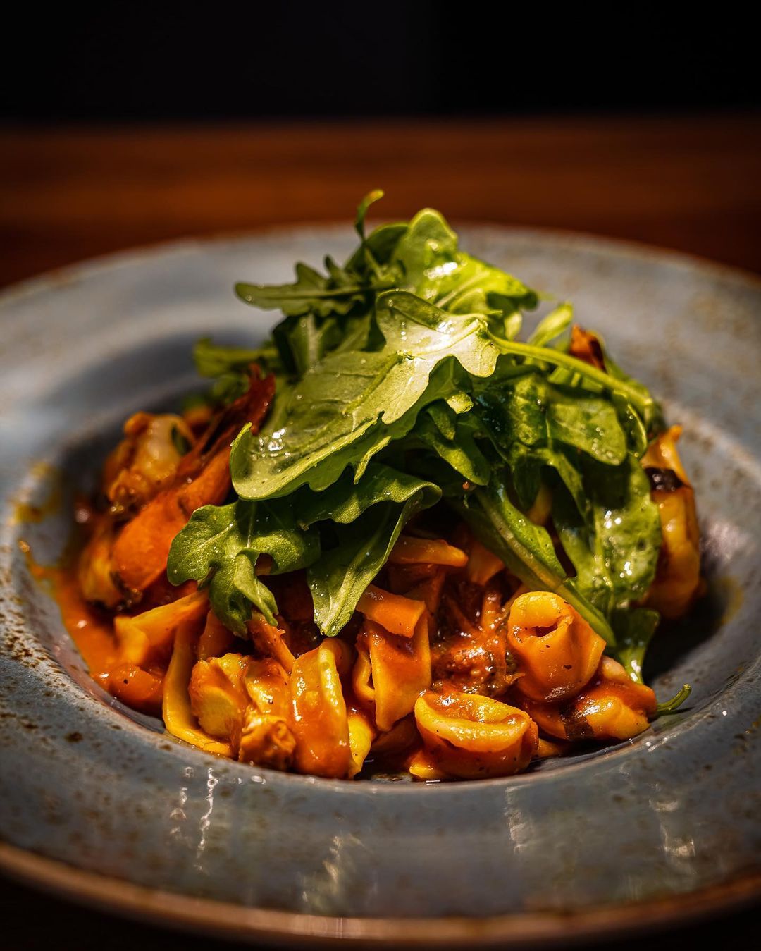 bluedogboca_336306730_589248493076917_3821637148145647541_n