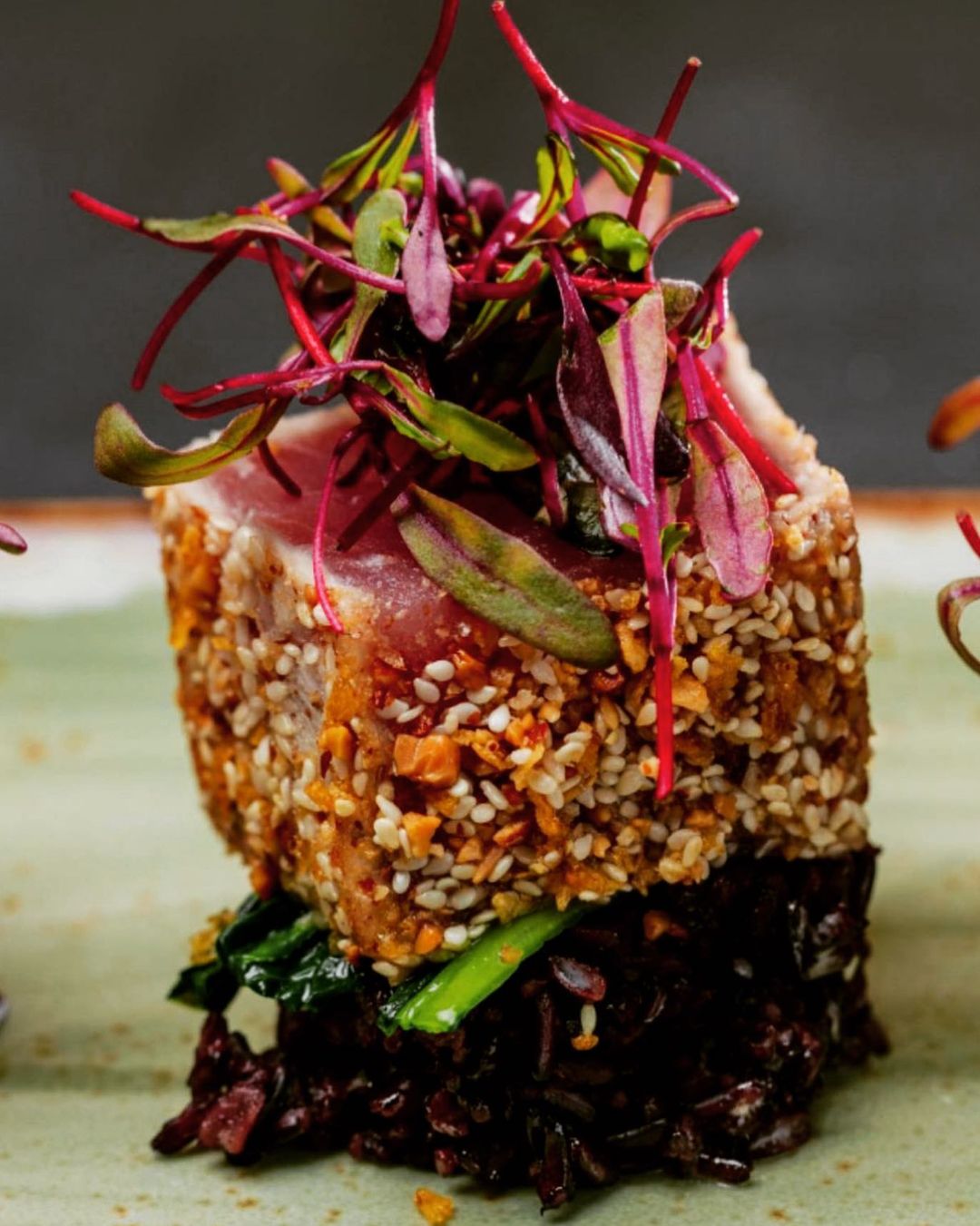 bluedogboca_343610914_584123523510448_9164702660353064630_n