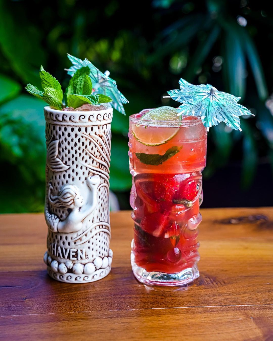 bluedogboca_363494576_570866991710069_1571682317787997207_n