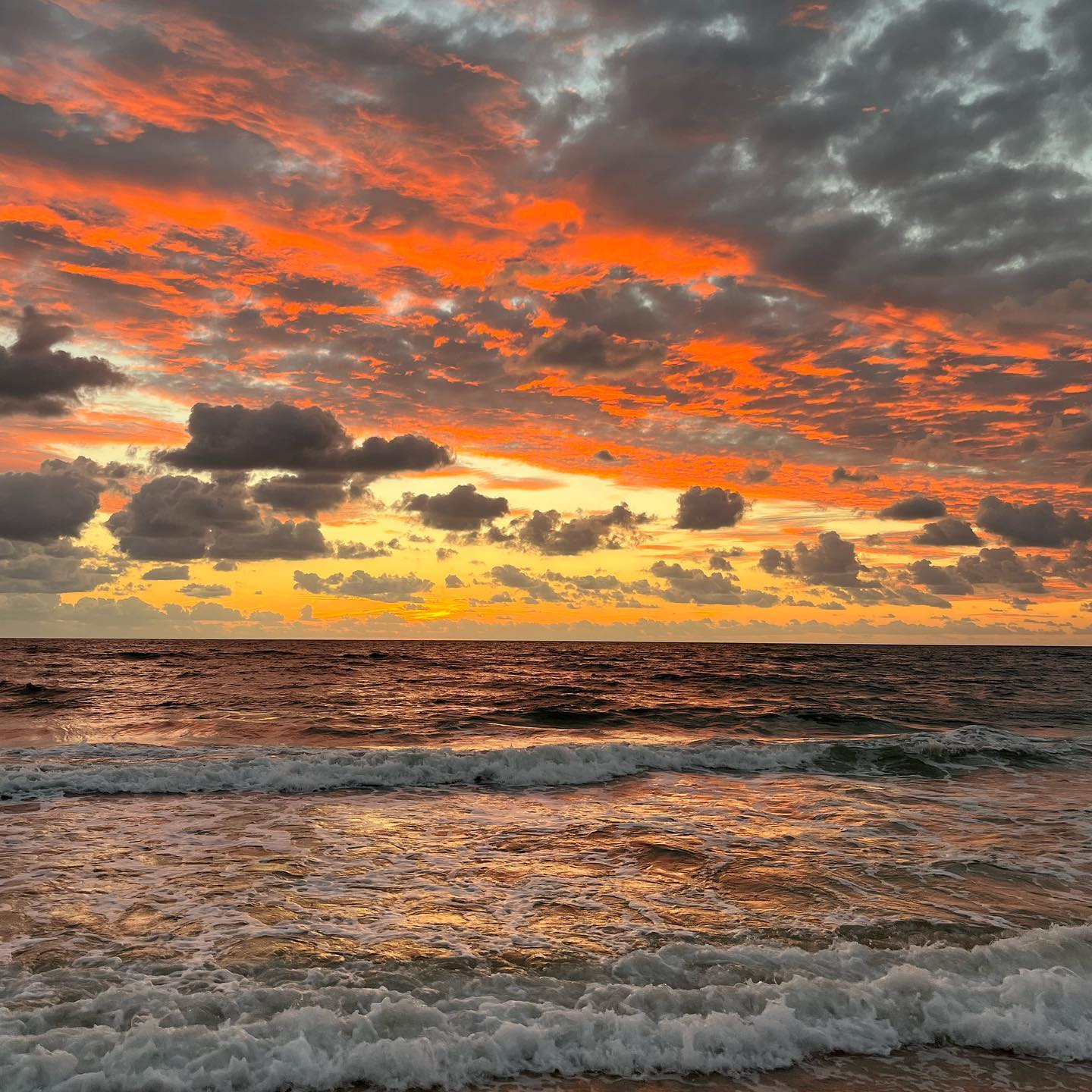 bocasurfandsail_311826188_810057936914804_4478557400429186777_n