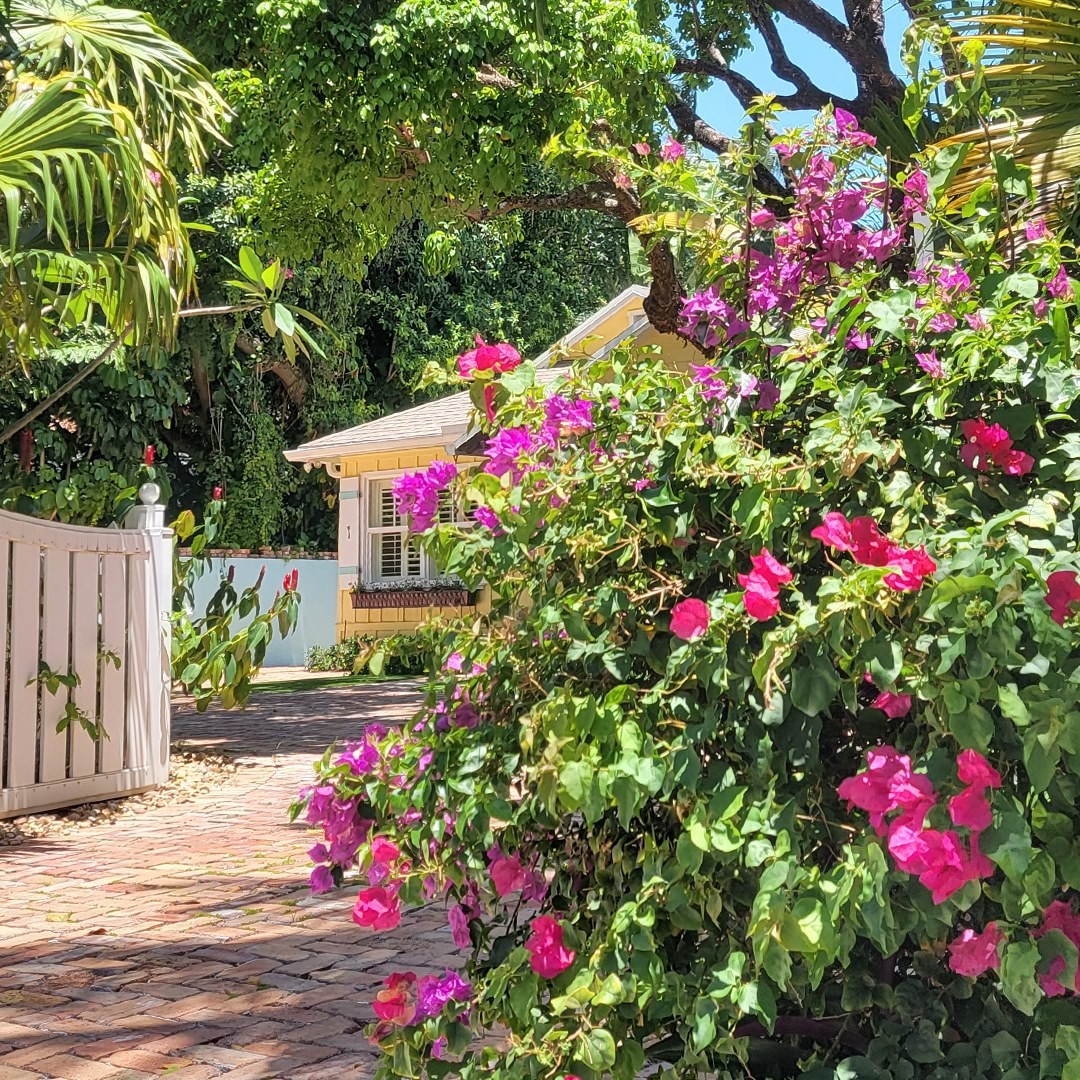 citybocaraton_190391963_375845373844917_6951667797607200346_n