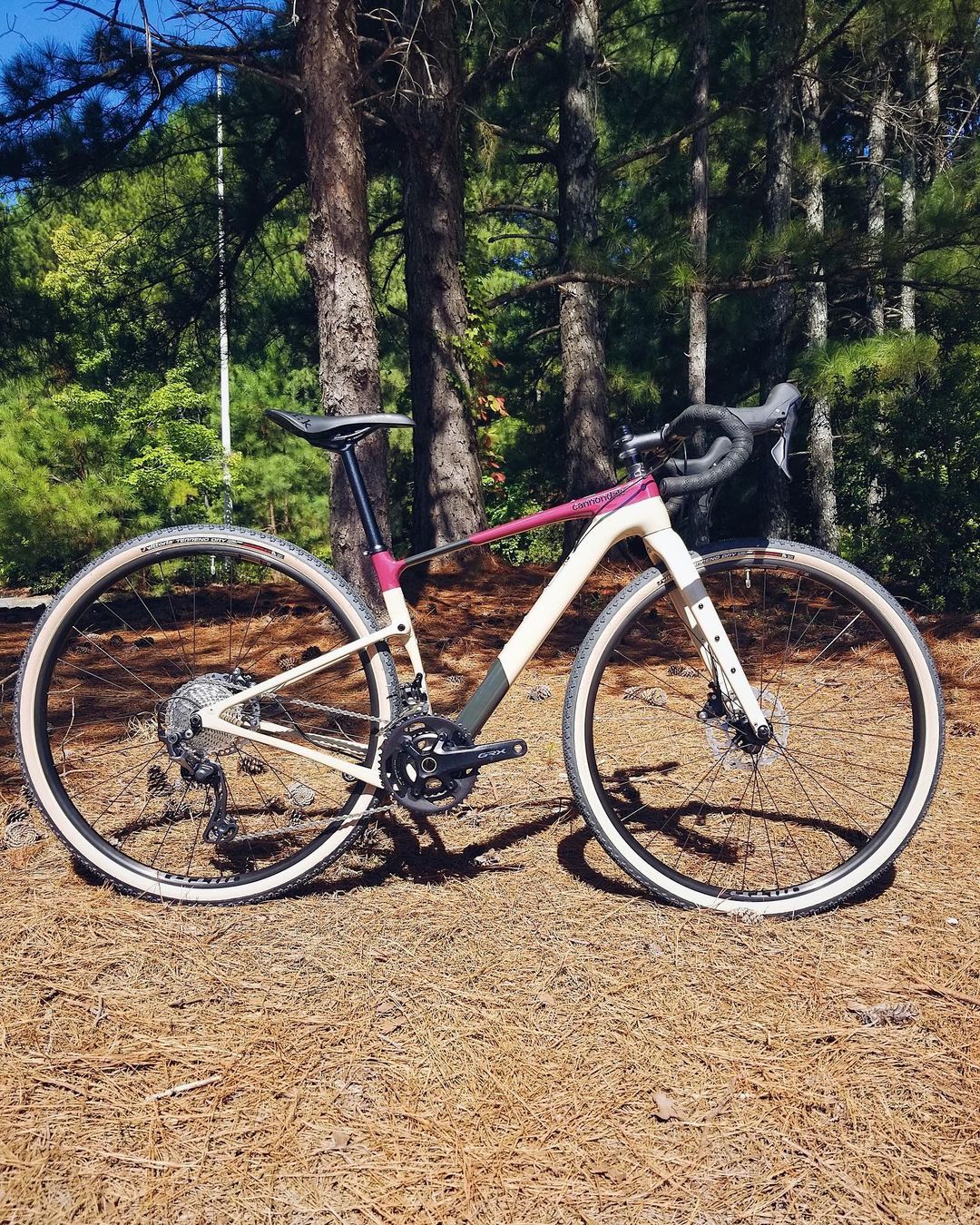 contesbikeshop_310741585_369471508649547_331188700600760354_n