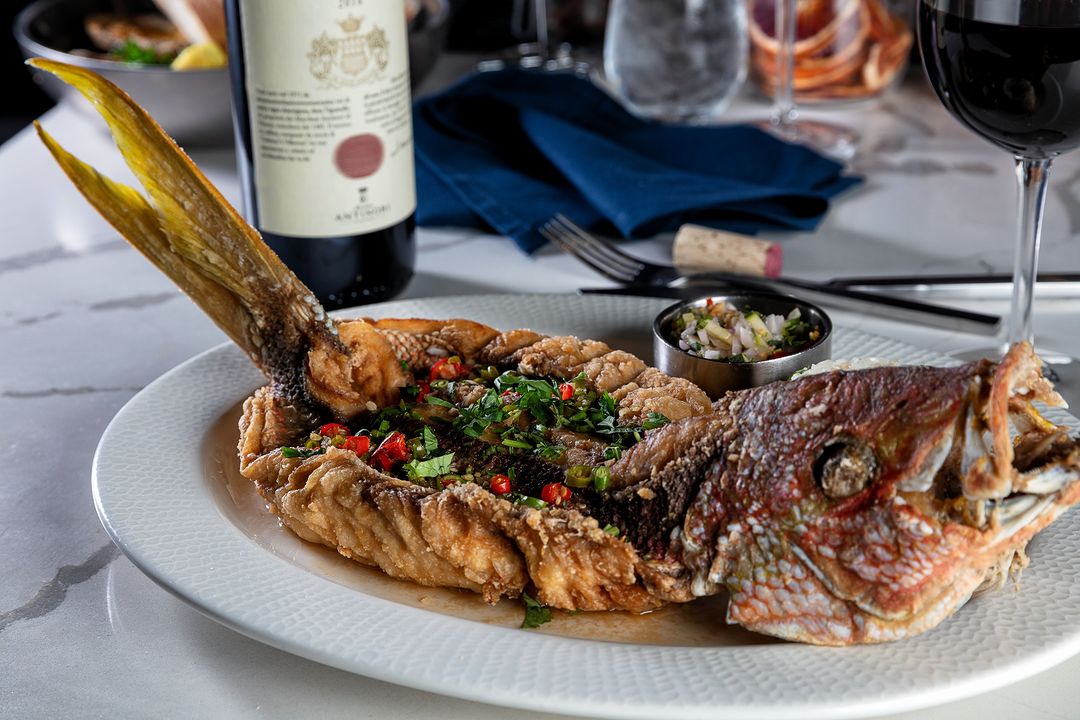 corvinabocaraton_351346195_645689830363679_904724924763706270_n