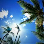 flyingfishwatersports_32324561_231750854249914_609853027813163008_n