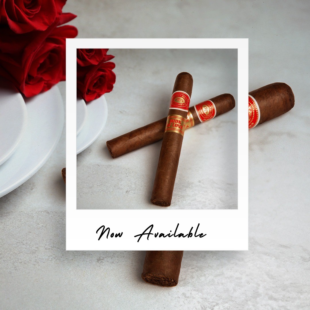 official.casa.de.montecristo_359096766_664485132253048_1766439302523952147_n