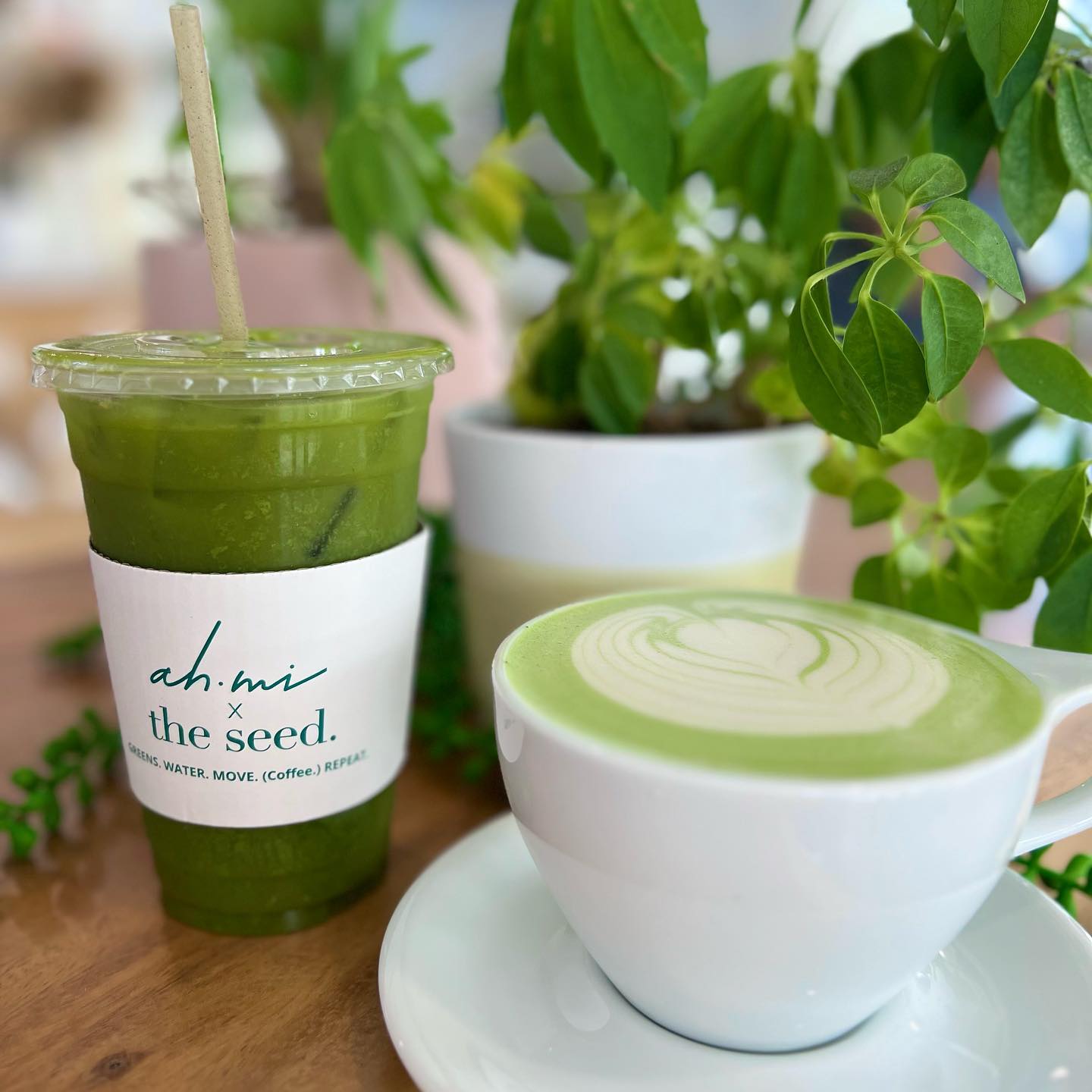 seedcoffeehouse_324075692_559096622480652_7919648926886827093_n