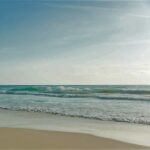 635440b7-69b6-4e18-8945-5999d5023dfax