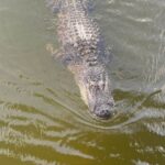 6644CFA0-628D-47D9-8D21-92793DB3B397