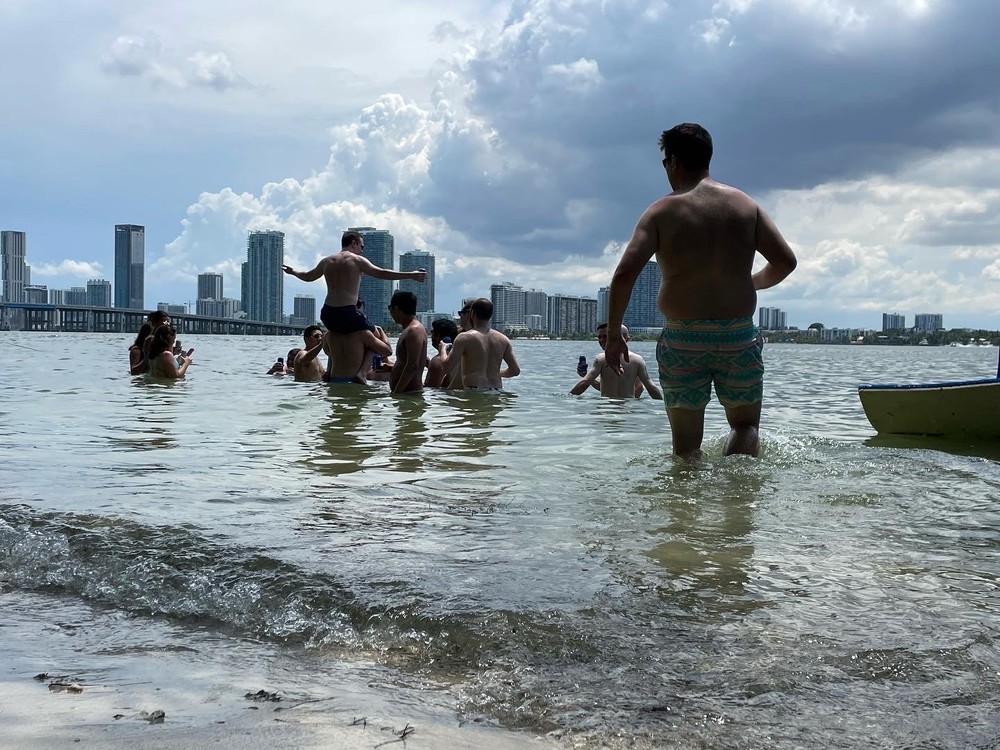 8192DF48-001D-4003-9481-8E8A12374359