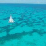 DJI_0007.MP4.00_00_21_20.Still001