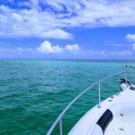 IMG_20170923_143335-EFFECTS