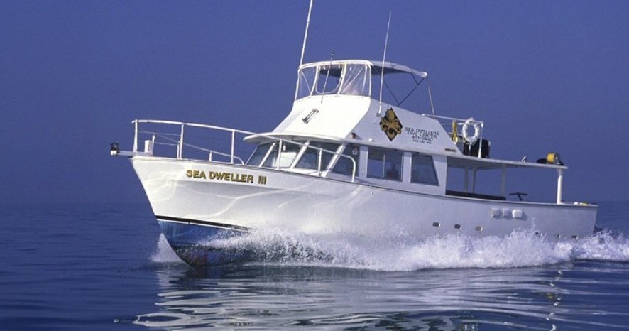 Screen Shot 2021-03-30 at 3.02.32 PM