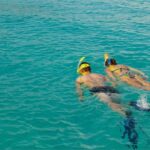 Screen Shot 2022-11-04 at 1.47.10 PM