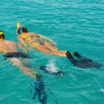 Screen Shot 2022-11-04 at 1.47.10 PM232