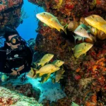 abd2aa_9a934af166f34488b674e04195548adb~mv2