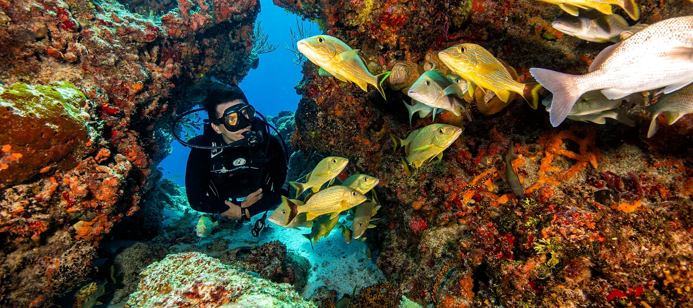 abd2aa_9a934af166f34488b674e04195548adb~mv2