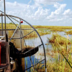 airboat-ride-everglades-grass-1536x864