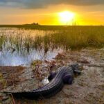 airboattour_359424980_827916925110294_6468013224153704634_n