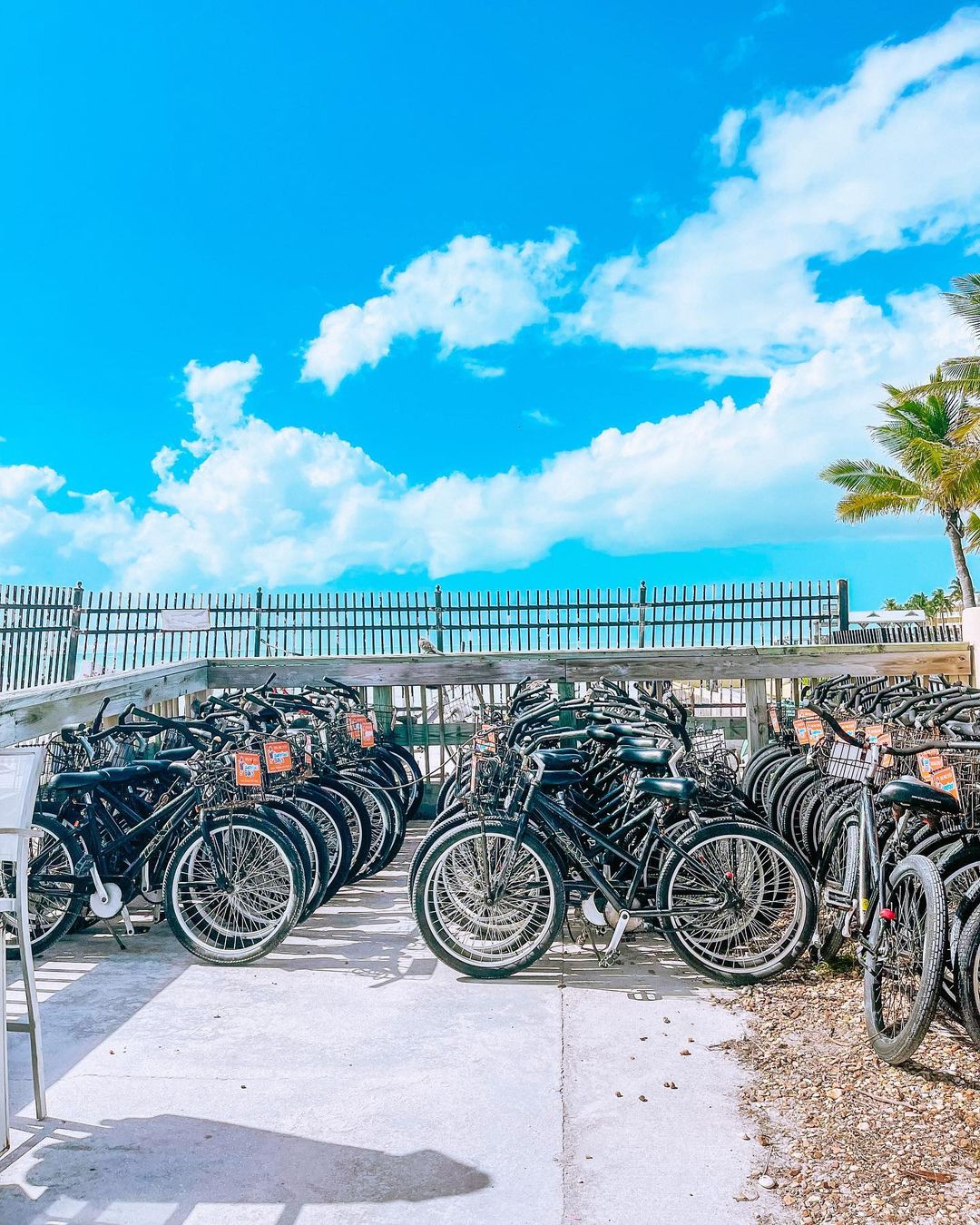 barefootbillys_273278416_245380977765540_603340827312728183_n