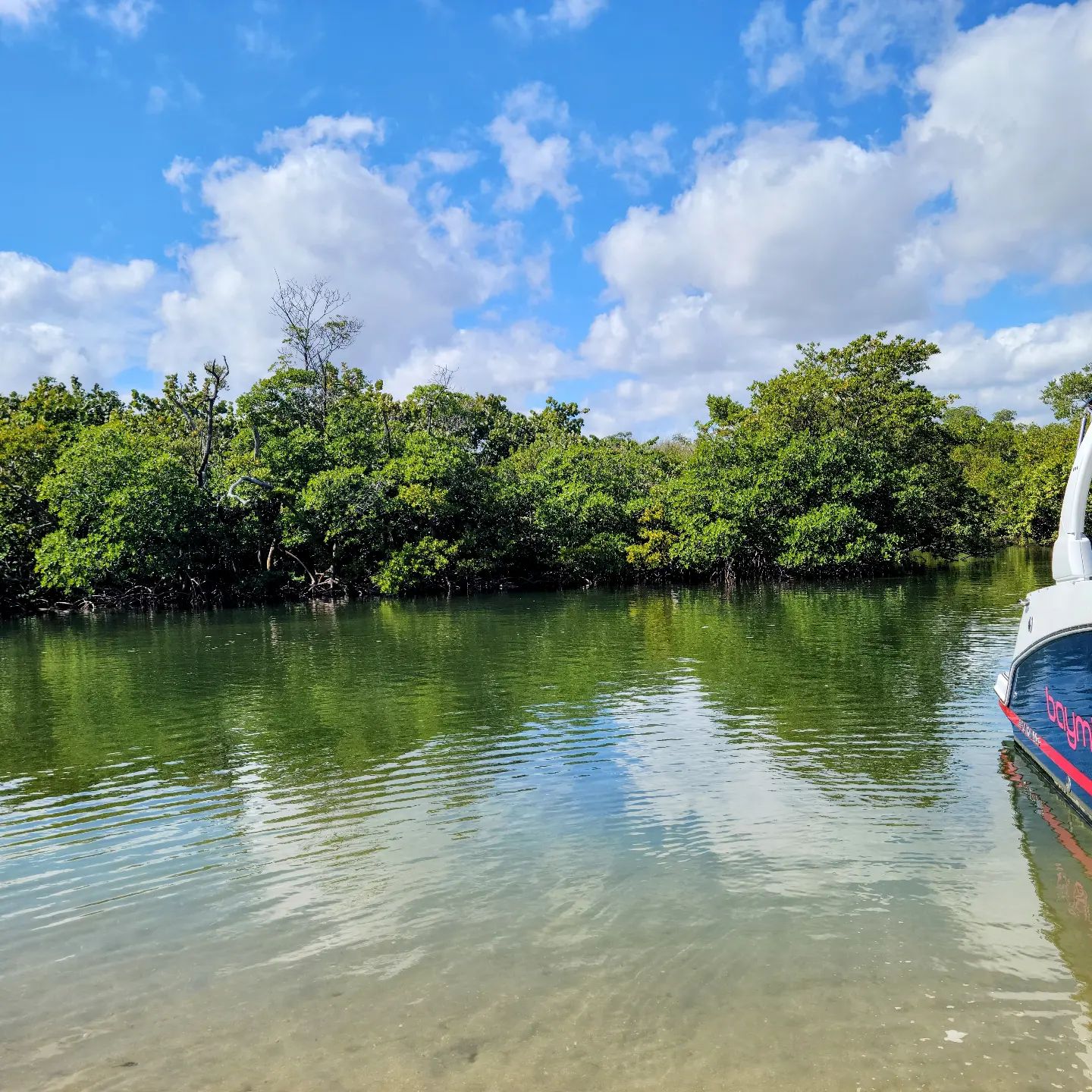 baymingo_310690905_514072774062229_6133077556691061340_n