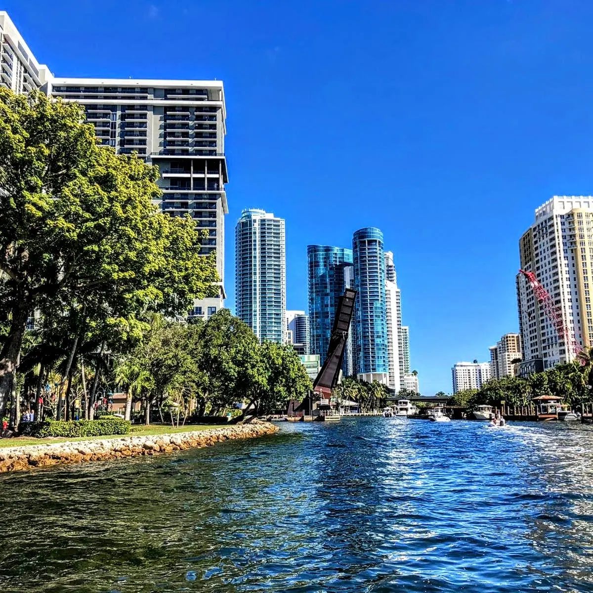 baymingo_310815850_1499549690492726_8404811932582114703_n