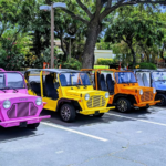 best_photo_moke_america_2048x