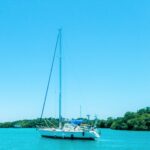 c5639412-7082-4a7d-b41d-891c823a787a