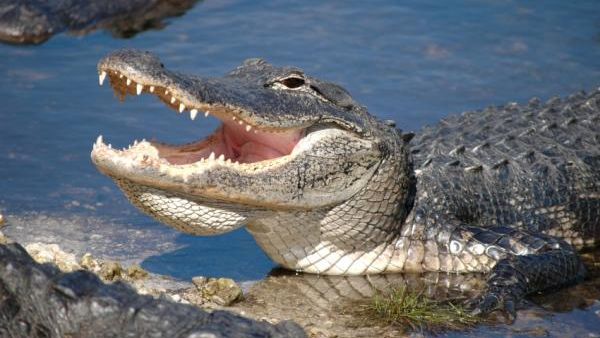 d7cb6727-de3f-41af-b18c-d81cac72effd