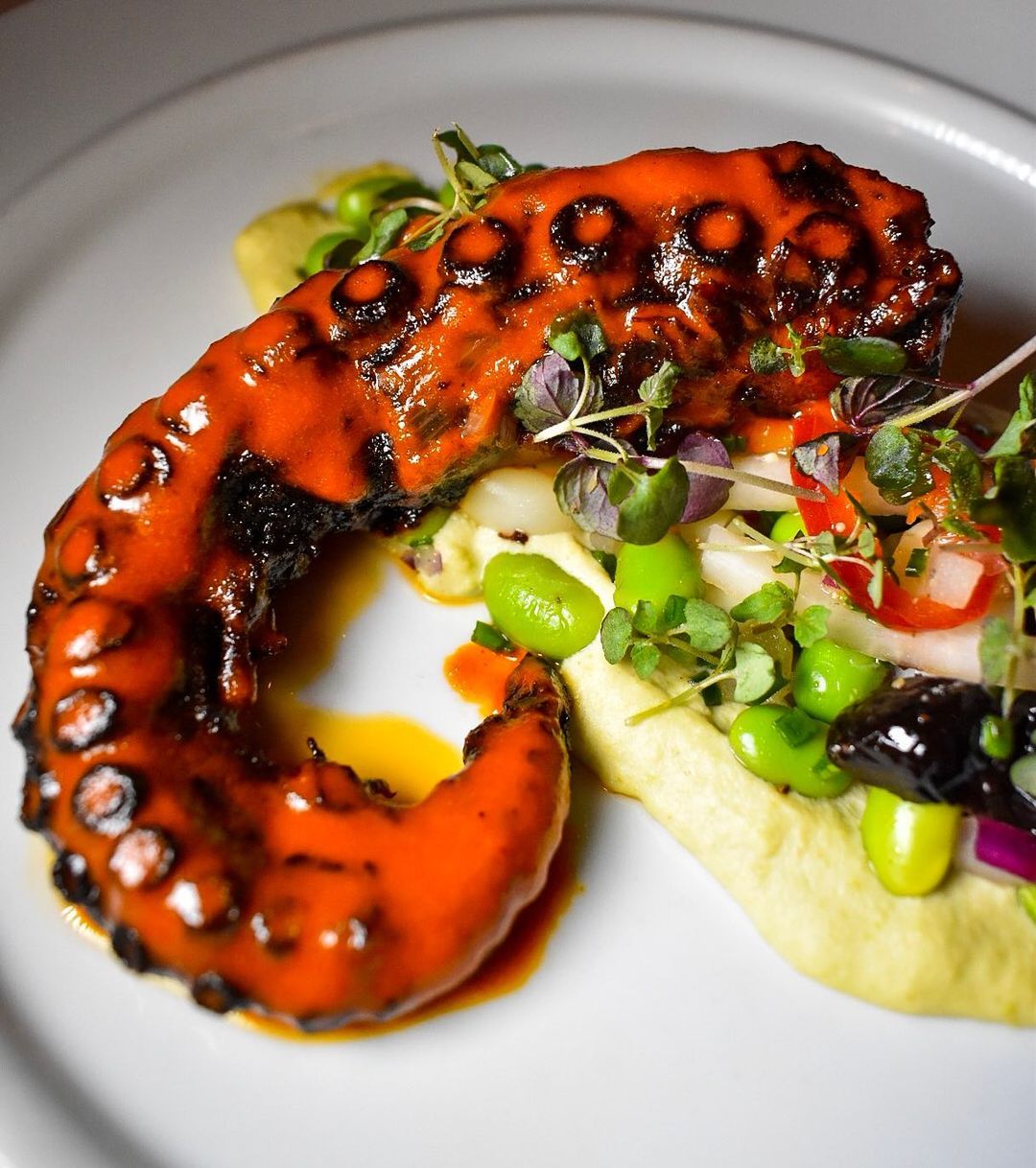 diplomatprime_70730025_202520320743061_7788187334689111191_n