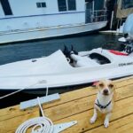 lasolaspaddleboards_121697859_1088312054935723_7215711825827451004_n