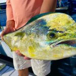 lfishfl_290008685_140434431929847_808556157689442911_n