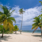 palmetto-bay-1505478_1280