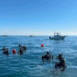 sea_dwellers_dive_center_333301580_1847811095593156_8131983050866660020_n