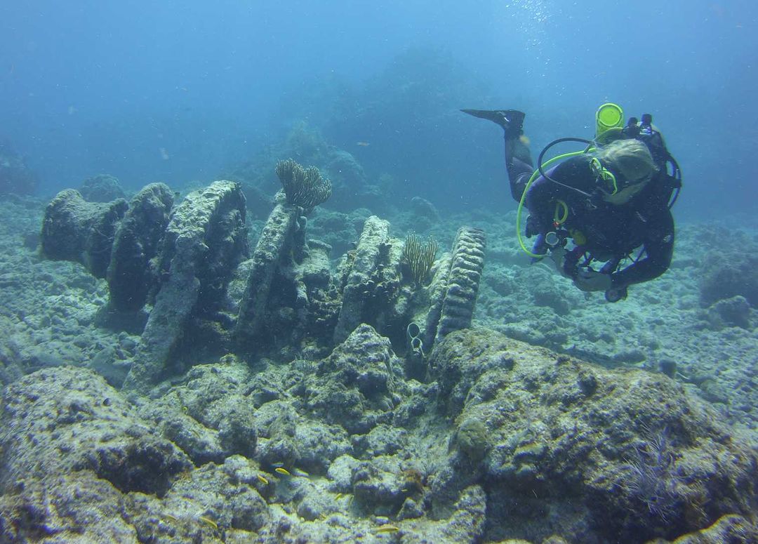 sea_dwellers_dive_center_345215625_742597324212525_5680847903449744375_n