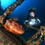 sea_dwellers_dive_center_345913709_1673554946398300_4892697059333616033_n