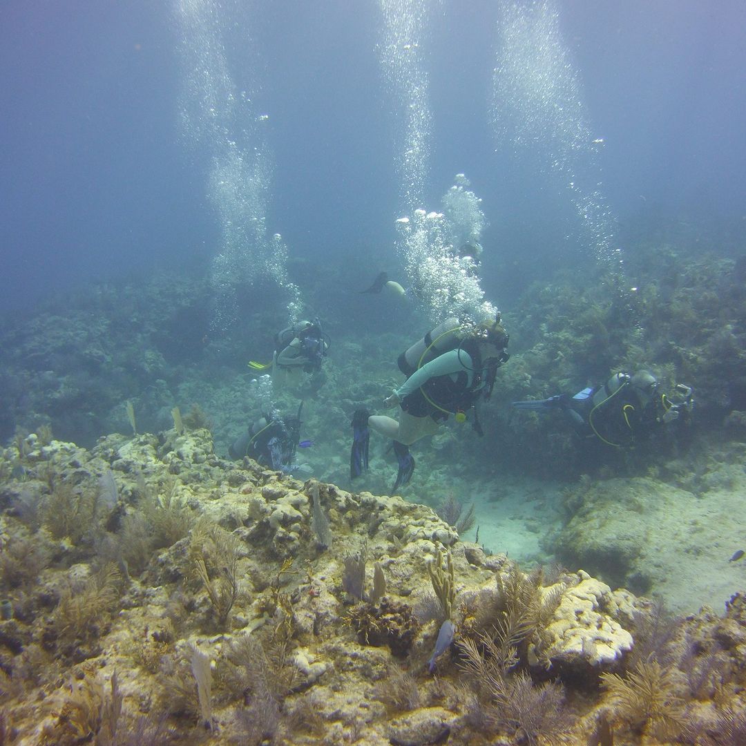 sea_dwellers_dive_center_348471995_992266308795033_5229021067593587097_n