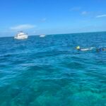 sea_dwellers_dive_center_350118979_1206786013223765_6346770575941400845_n