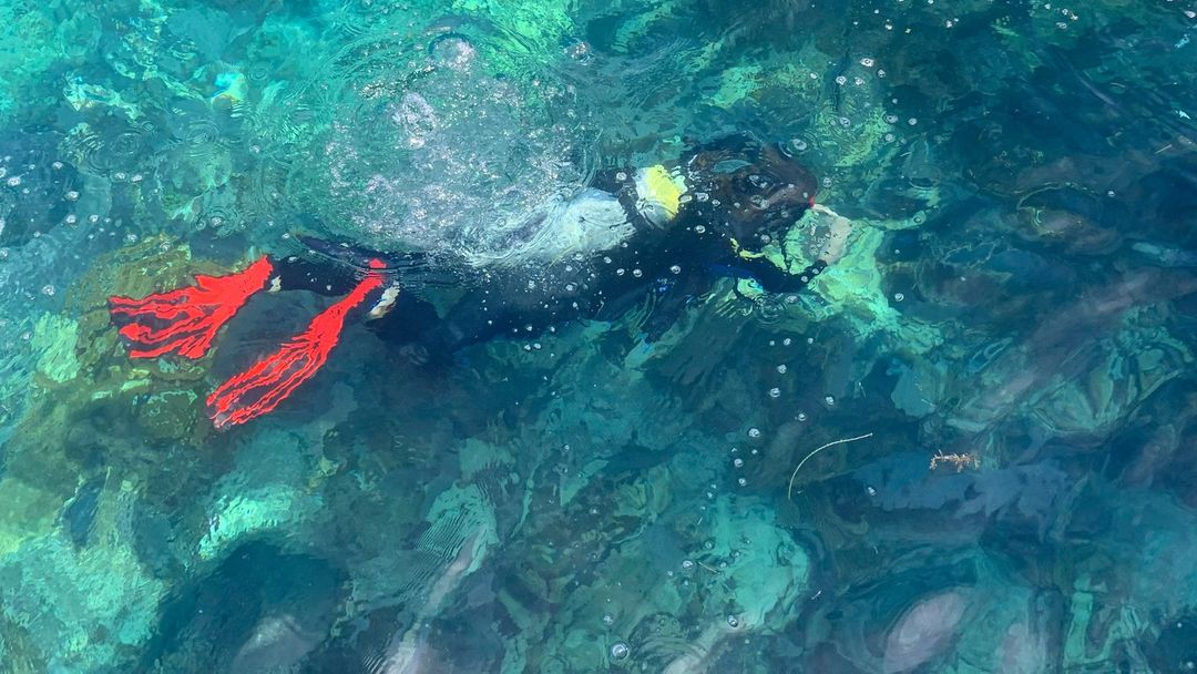 sea_dwellers_dive_center_357390748_575655164761995_736851212556140767_n