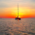 vlcsnap-2023-08-11-16h58m47s595