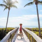 Hollywood Beach Boardwalk 9