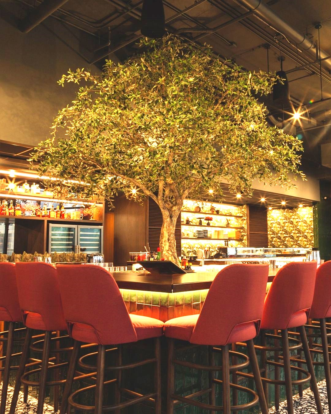 asiatikomiami_315014179_3123101684646666_5523319789143546709_n