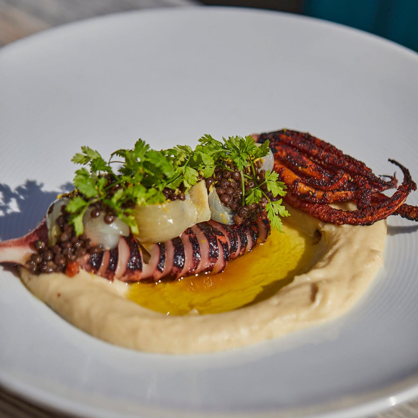 barcelonetamiami_378960954_18383504944057664_1667284788448321536_n