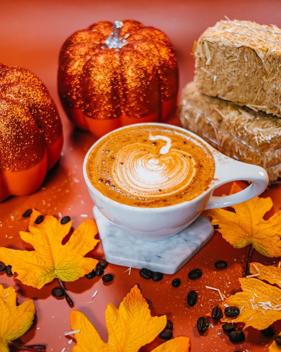 foxtailcoffeeco_376911019_691317119062972_4942775935020853352_n