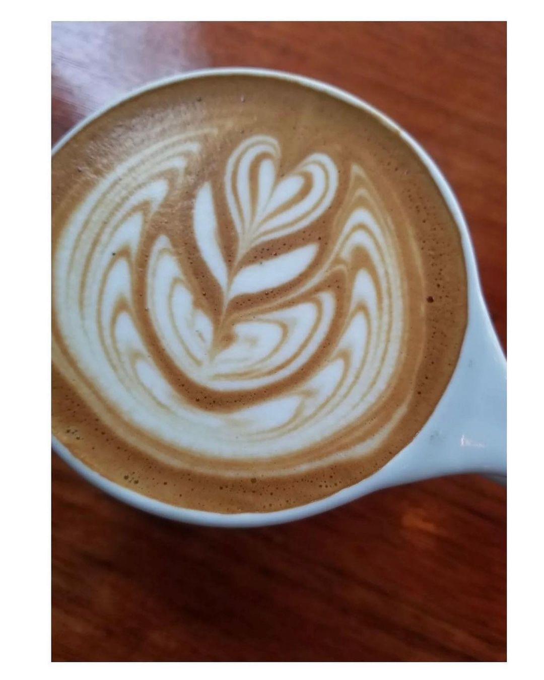 panthercoffee_274725342_499113284895336_3860091700662565445_n